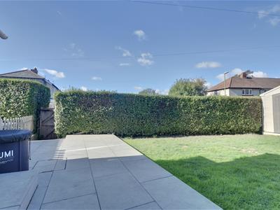 Picture 14
